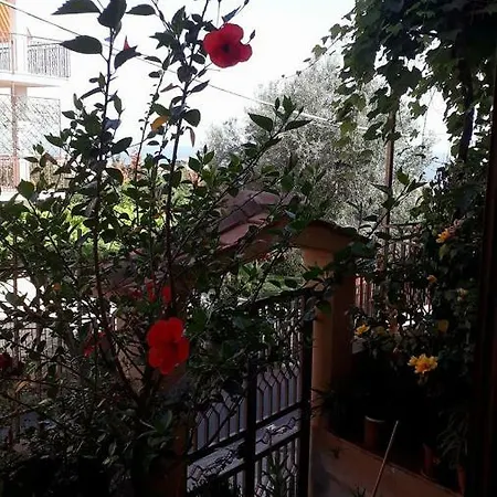Holiday home Filomena Marina di Camerota
